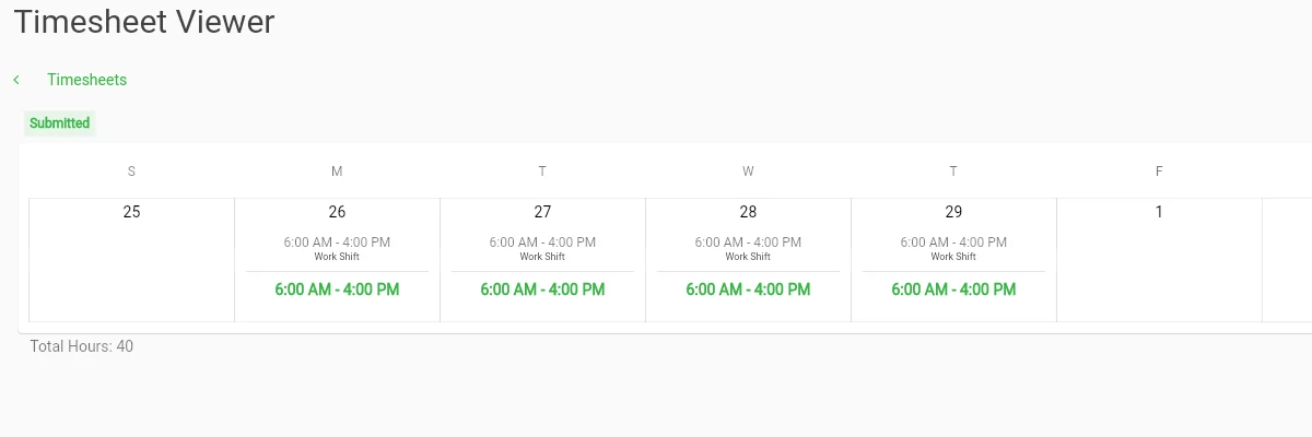 Scheduler Timesheet Viewer Image